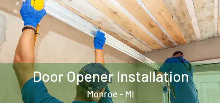  Door Opener Installation Monroe - MI