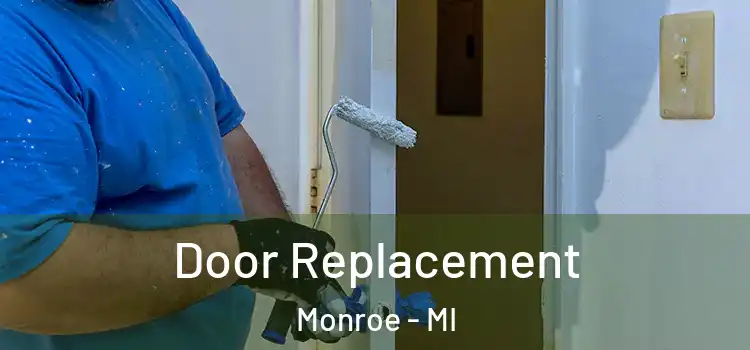 Door Replacement Monroe - MI
