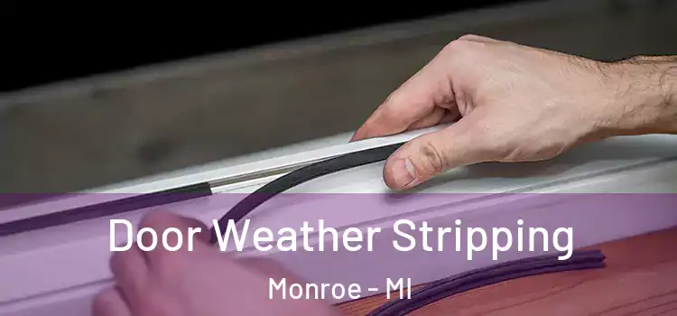  Door Weather Stripping Monroe - MI