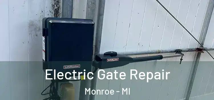  Electric Gate Repair Monroe - MI