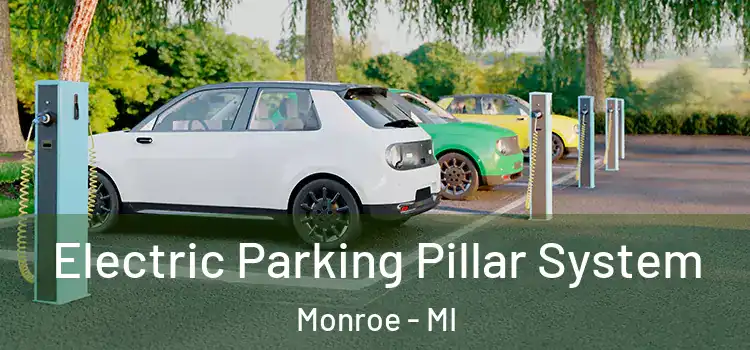  Electric Parking Pillar System Monroe - MI