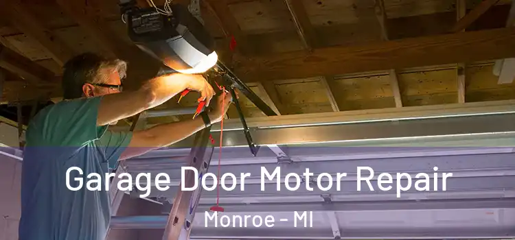  Garage Door Motor Repair Monroe - MI
