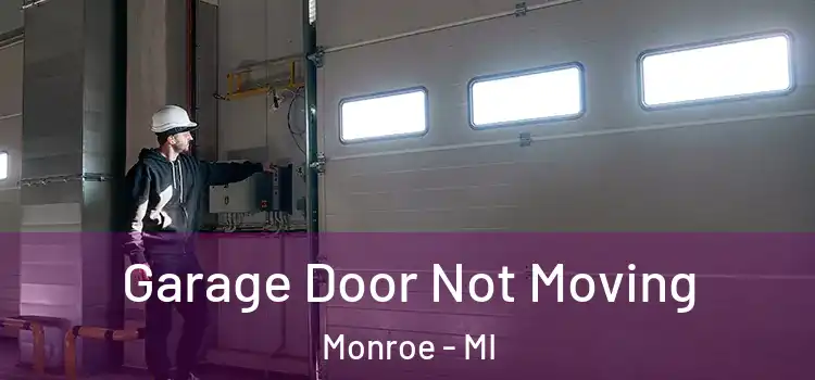  Garage Door Not Moving Monroe - MI