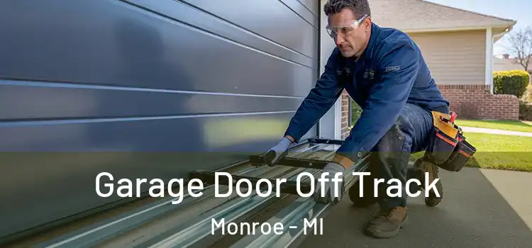  Garage Door Off Track Monroe - MI