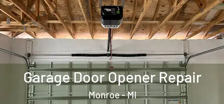  Garage Door Opener Repair Monroe - MI