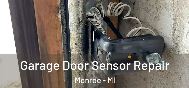 Garage Door Sensor Repair Monroe - MI