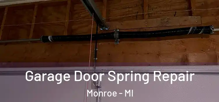  Garage Door Spring Repair Monroe - MI