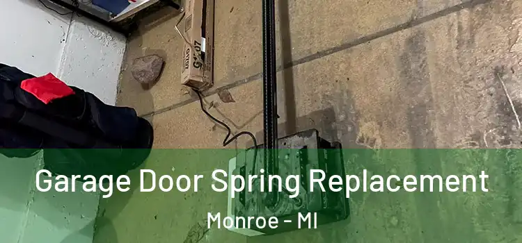  Garage Door Spring Replacement Monroe - MI