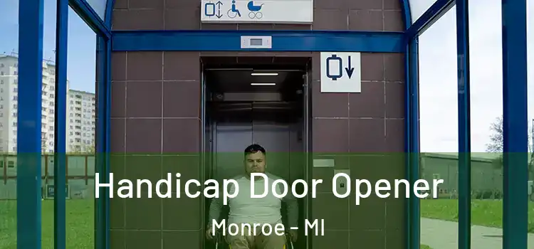 Handicap Door Opener Monroe - MI