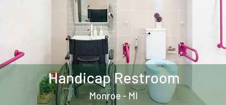 Handicap Restroom Monroe - MI