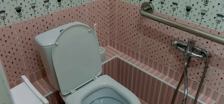 Meeting Diverse Needs With Accessible Restroom Solutions in Monroe, MI