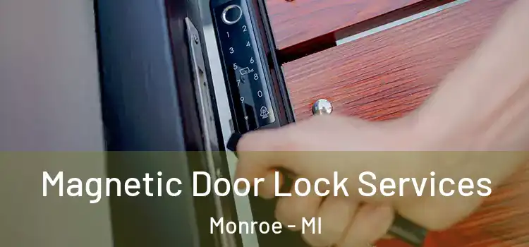 Magnetic Door Lock Services Monroe - MI