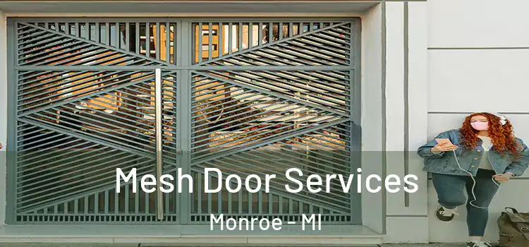  Mesh Door Services Monroe - MI