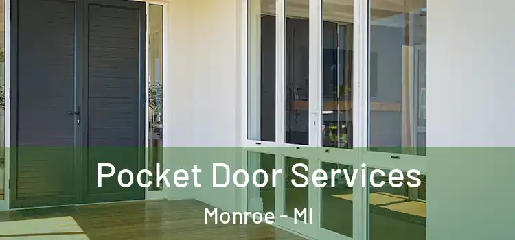  Pocket Door Services Monroe - MI