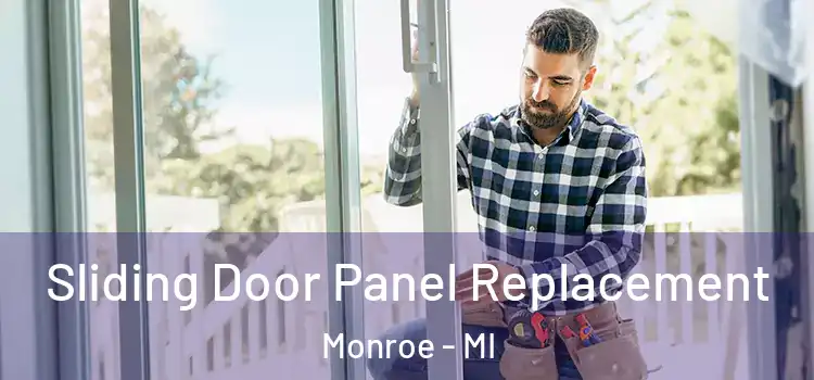  Sliding Door Panel Replacement Monroe - MI