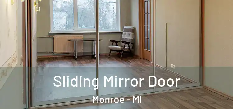  Sliding Mirror Door Monroe - MI