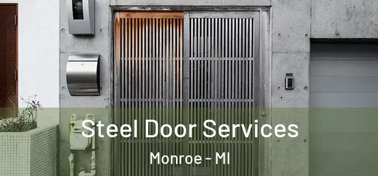 Steel Door Services Monroe - MI