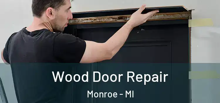 Wood Door Repair Monroe - MI